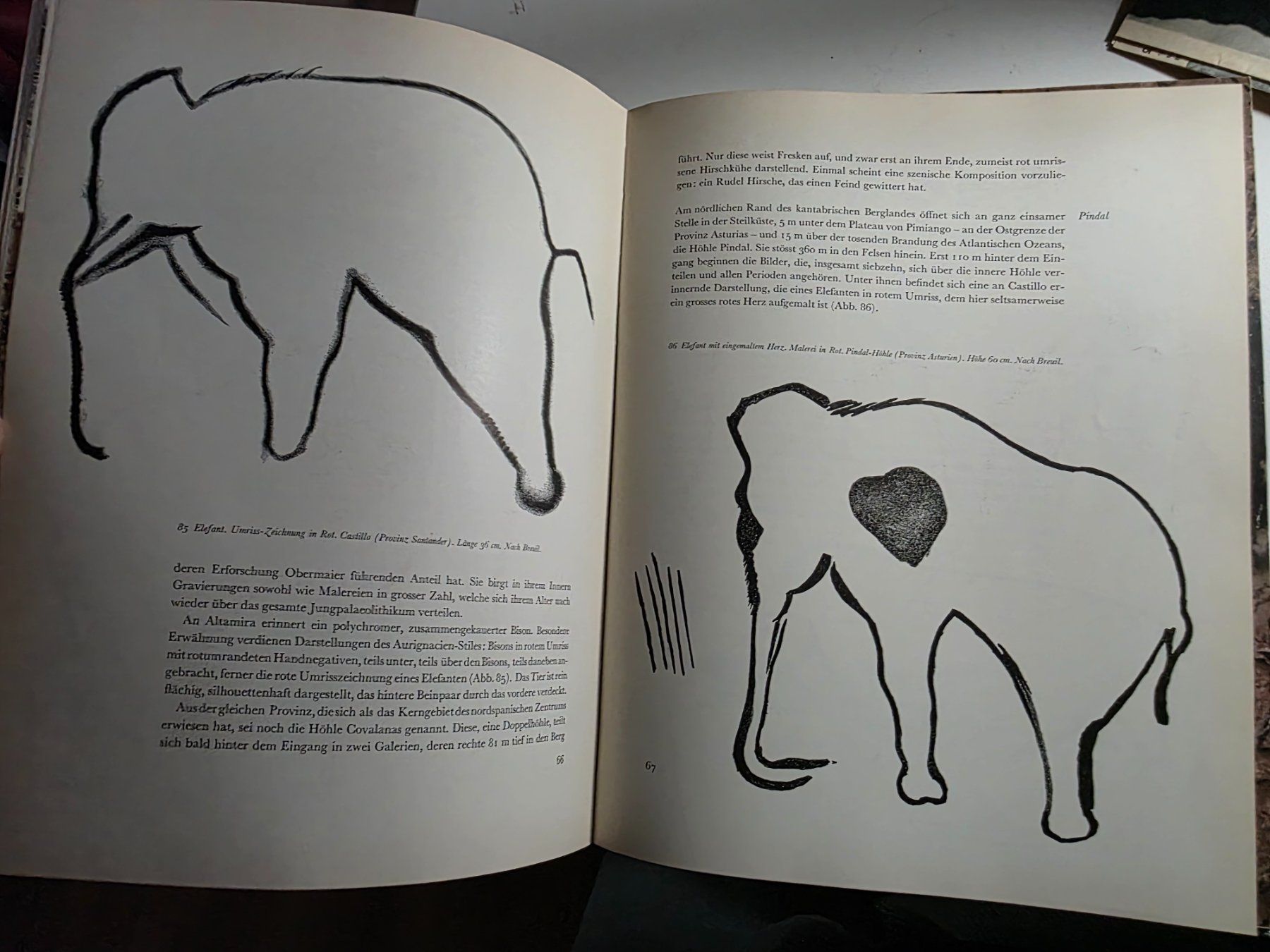 Libri: Kunst der Eiszeit - Levantekunst Arktische Kunst - 1955 – Usato da Walterswil BE venduto da Lonitti 1