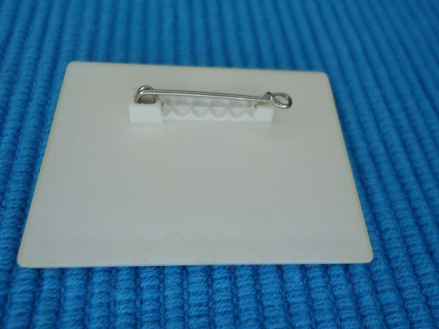 SBB/CFF/FFS Placchette & Badge: SBB Anstecker LOK 2000 Re 460 aus Kunstoff – Usato da Ergisch venduto da Haemmerli59 3