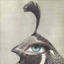 Profile image of _jules_verne_