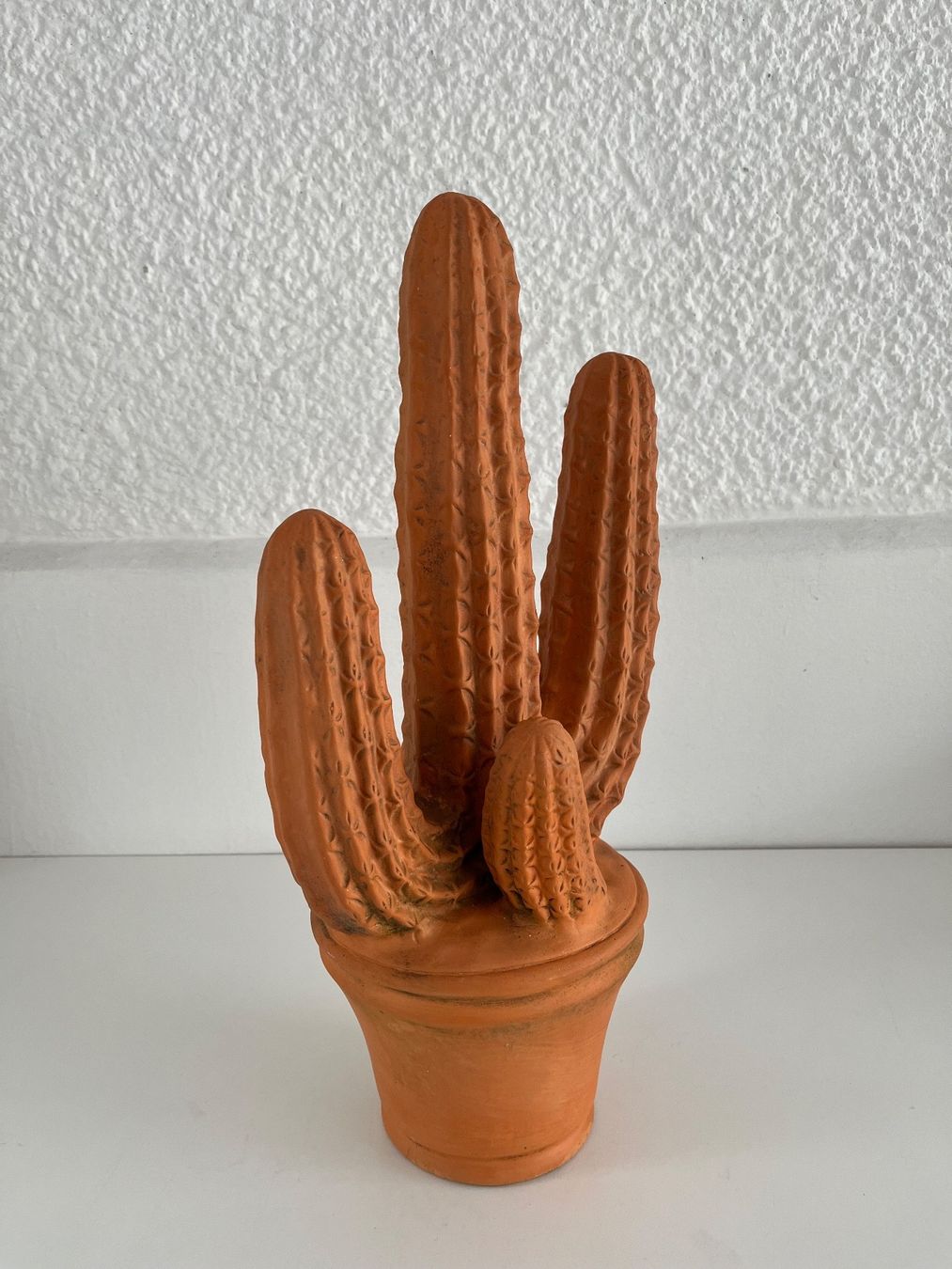 Tutte le decorazioni: Kaktus aus Terracotta – Usato da Wetzikon ZH venduto da seli03 5