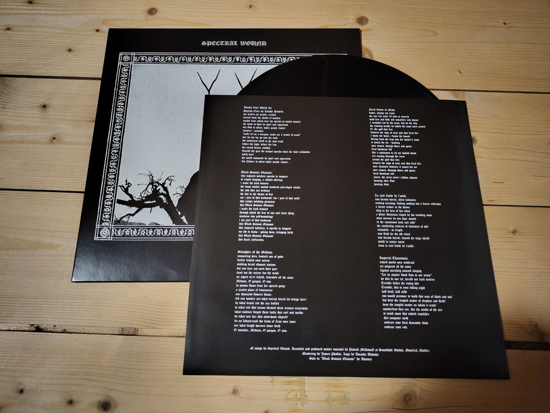 Dischi in vinile: Spectral Wound - Infernal Decadence – Usato da Wasterkingen venduto da Palu17 1