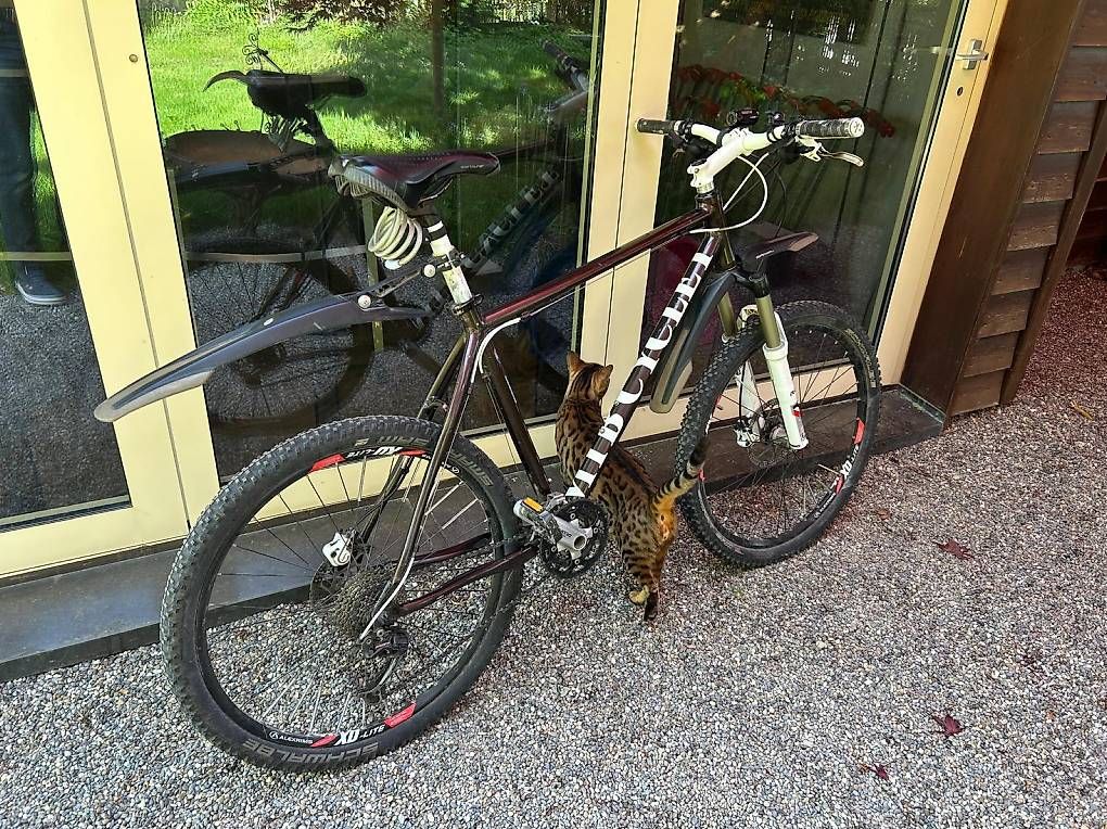 Biciclette: Mountainbike – Usato da Rüti ZH venduto da IMiller