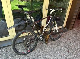 Mountainbike