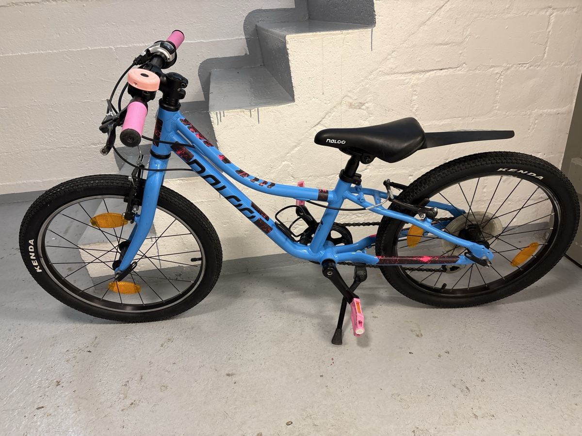 Naloo Vélos: Naloo 20 Zoll Kinder Velo – D'occasion à Kleindöttingen par GermiSimon 1