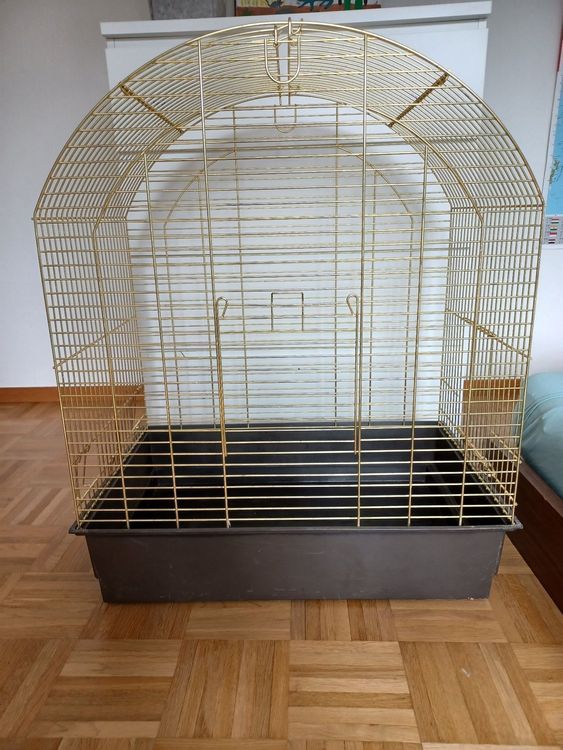 Cage Oiseaux Kaufen Auf Ricardo