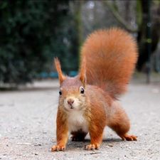 Profile image of rathenower