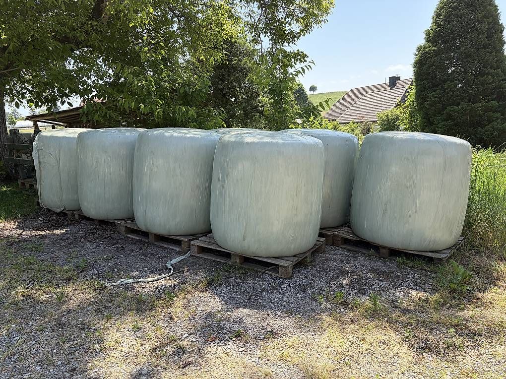 Futter: Maissiloballen – Gebraucht aus Rosshäusern von benjaminmaeder