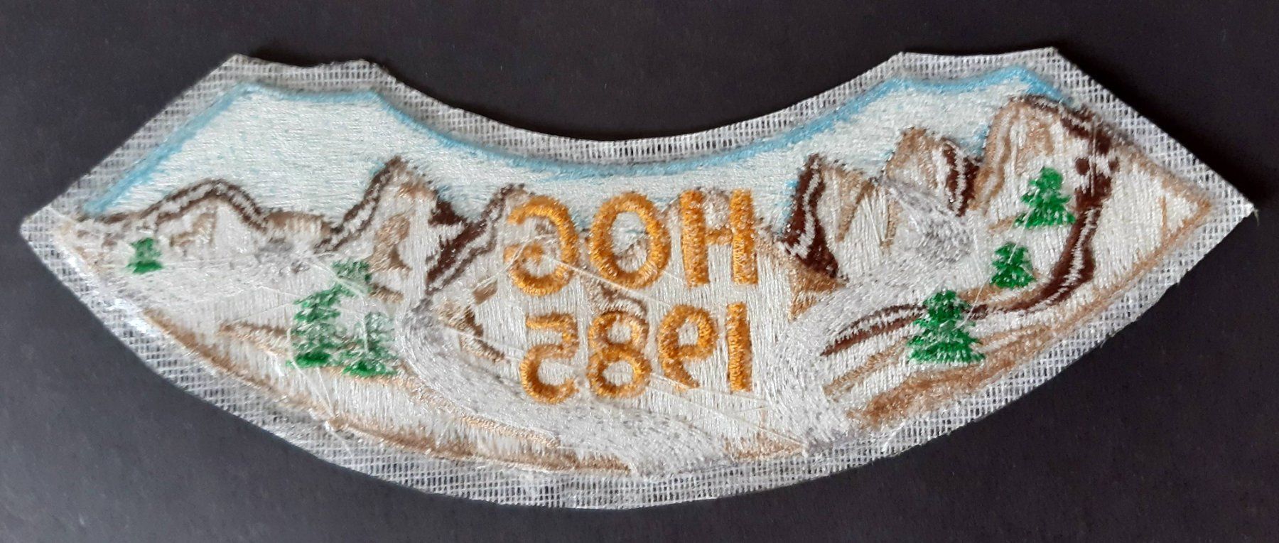 Harley-Davidson Patches: 1985 HARLEY PATCH HOG OWNERS GROUP BIKER – Neu (gemäss Beschreibung) aus Lugano von YouWantUS 4