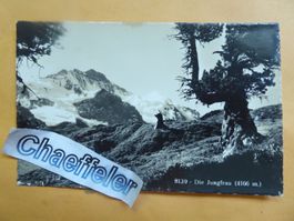 8139 Die Jungfrau