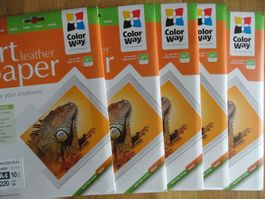 5 Pack ColorWay Art-Leder Papier A4 220g matt NEU
