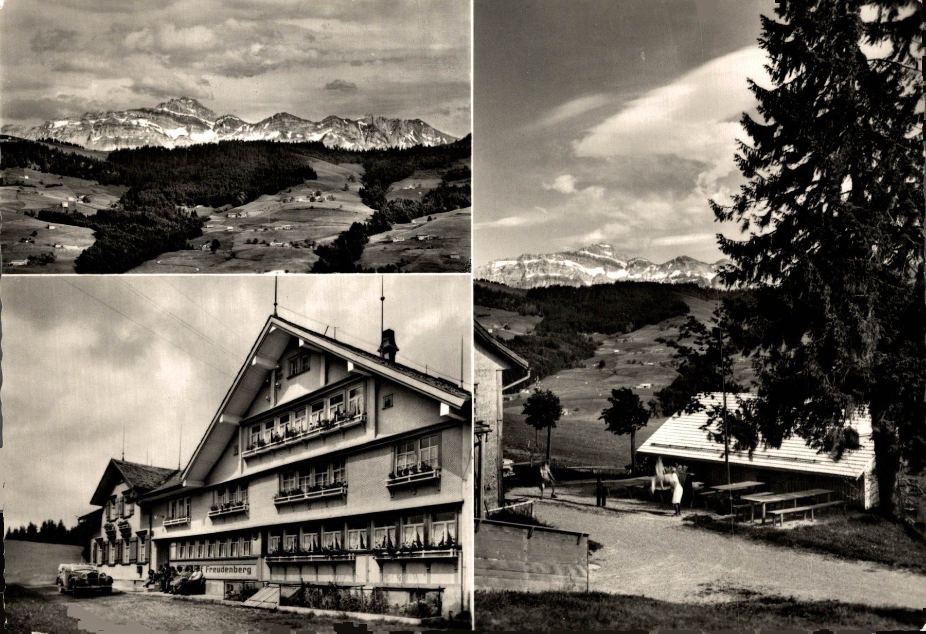 Cartoline postali: Gasthaus zum Freudenberg, St. Peterzell – Usato da Bronschhofen venduto da Astore