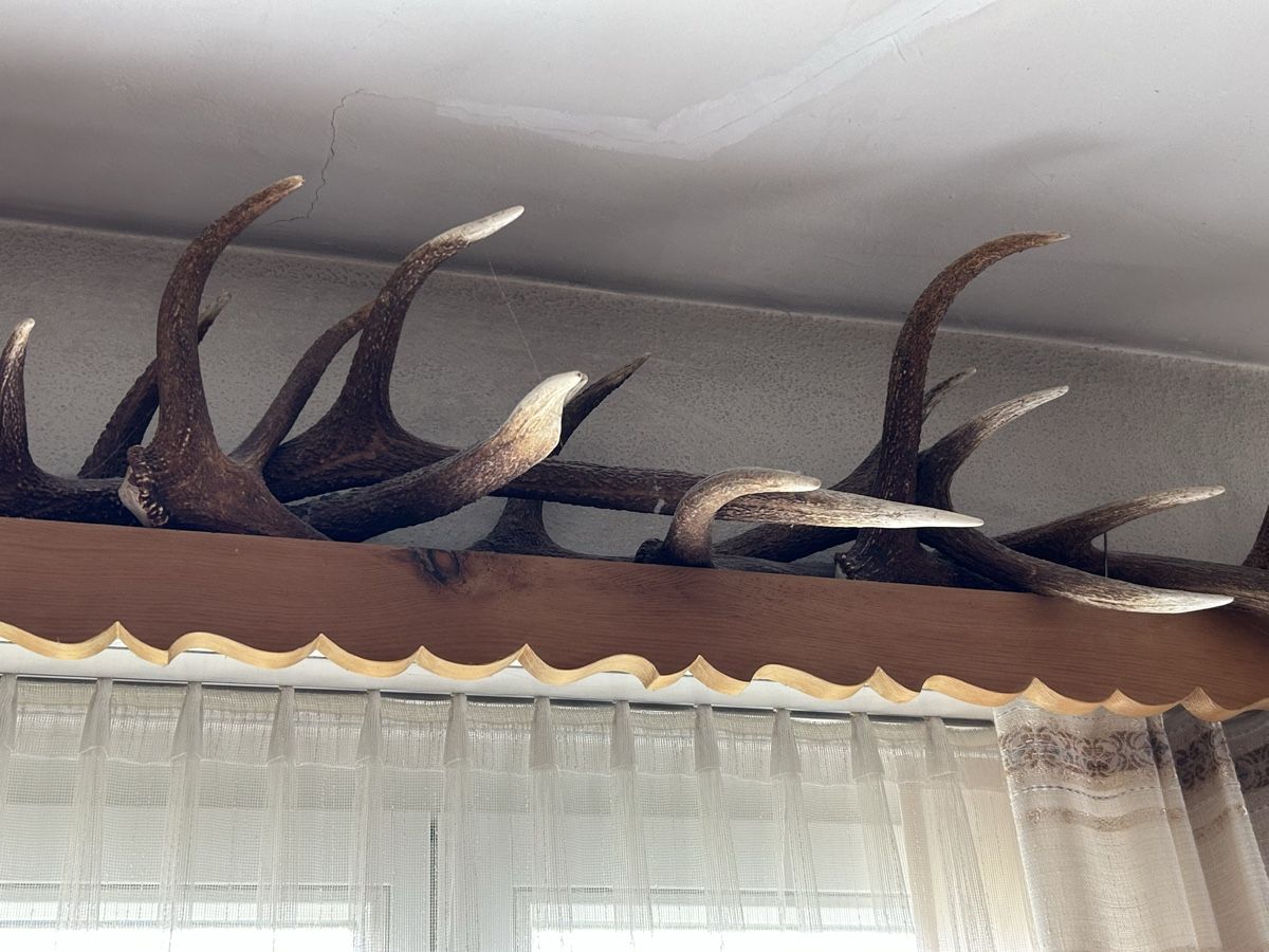 Tutte le decorazioni: Abwurfstangen Hirsche – Usato da Davos Platz venduto da cilgia08