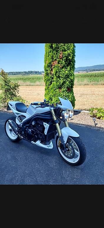 Route: Triumph Speed Triple 1050 – D'occasion à Hendschiken par milton65
