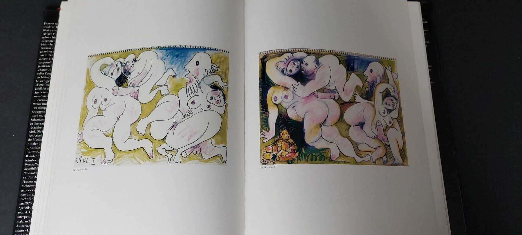 Libri: Die Skizzenbücher Pablo Picassos – Usato da Zürich venduto da t24_de 5