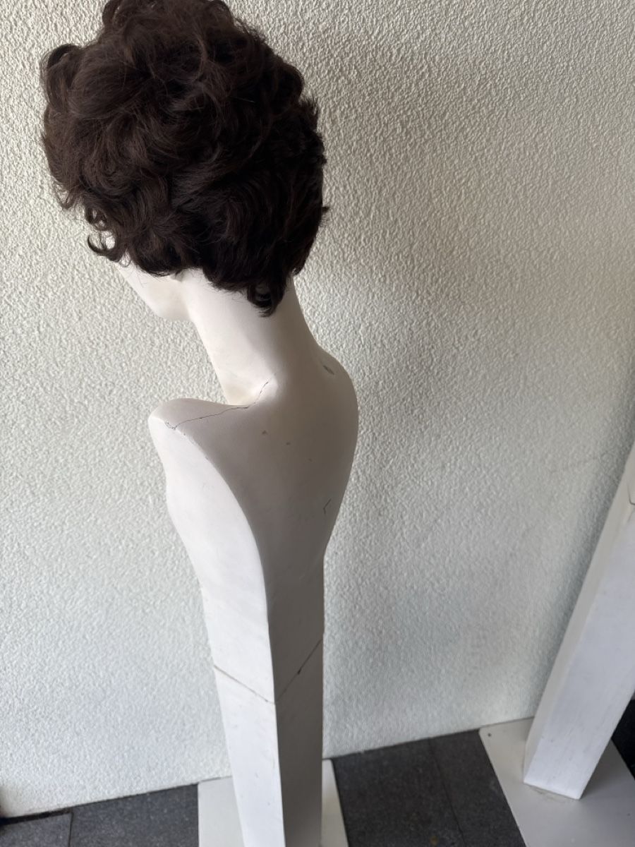 Altro in Decorazioni & Accessori: Schaufenster Puppe – Usato da Horriwil venduto da Carrera68 4