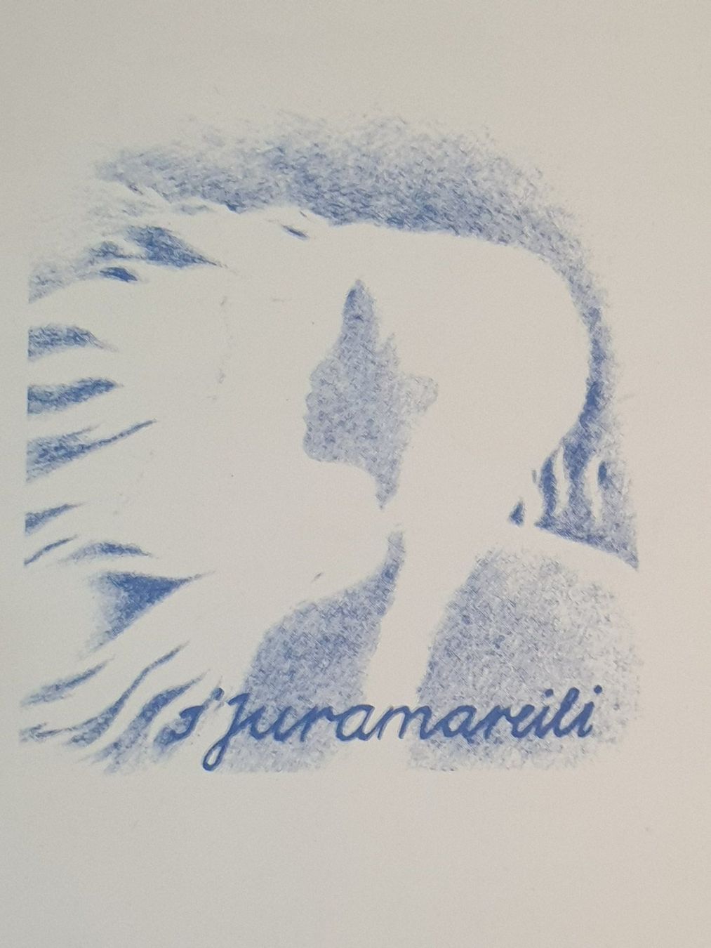 Libri: Paul Haller: S'Juramareili – Usato da Zumikon venduto da chv_w96q 1