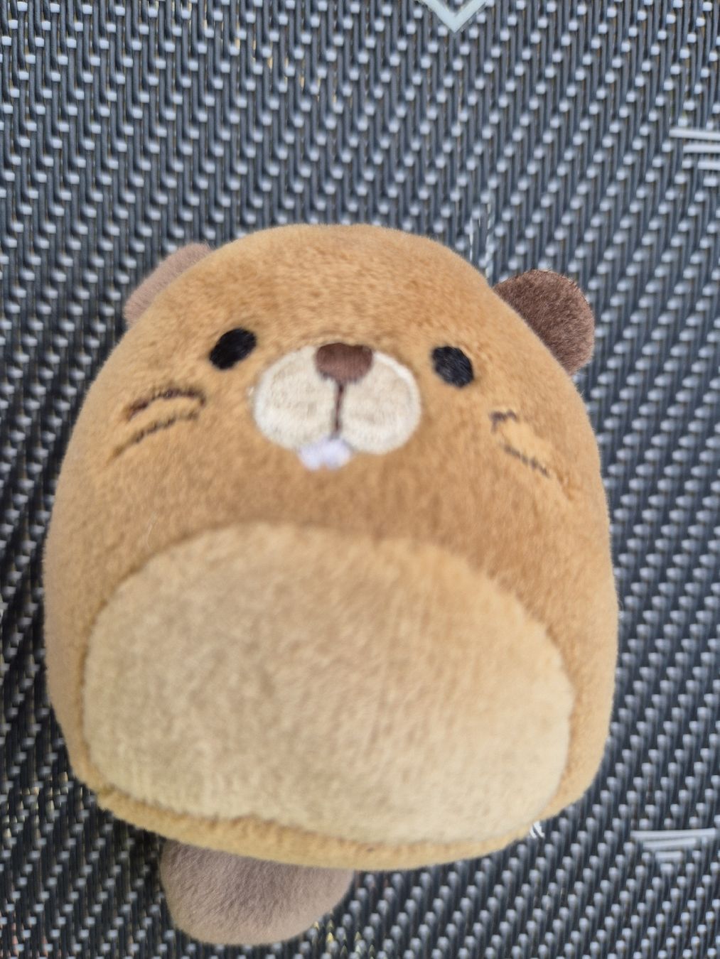 Squishmallows Giocattoli: 3 Plüschtiere Squishmallows  – Usato da Adliswil venduto da Stardust11 4