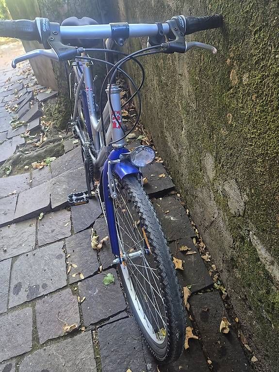 Biciclette: Citybike – Usato da Mex VD venduto da Janmichel 1