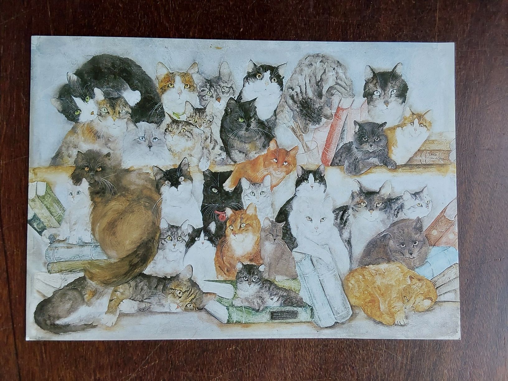 Foto & Immagini:  Dédé 5xKarten 15x21cm. zusammen  – Usato da Steinach venduto da Chilli1957 1