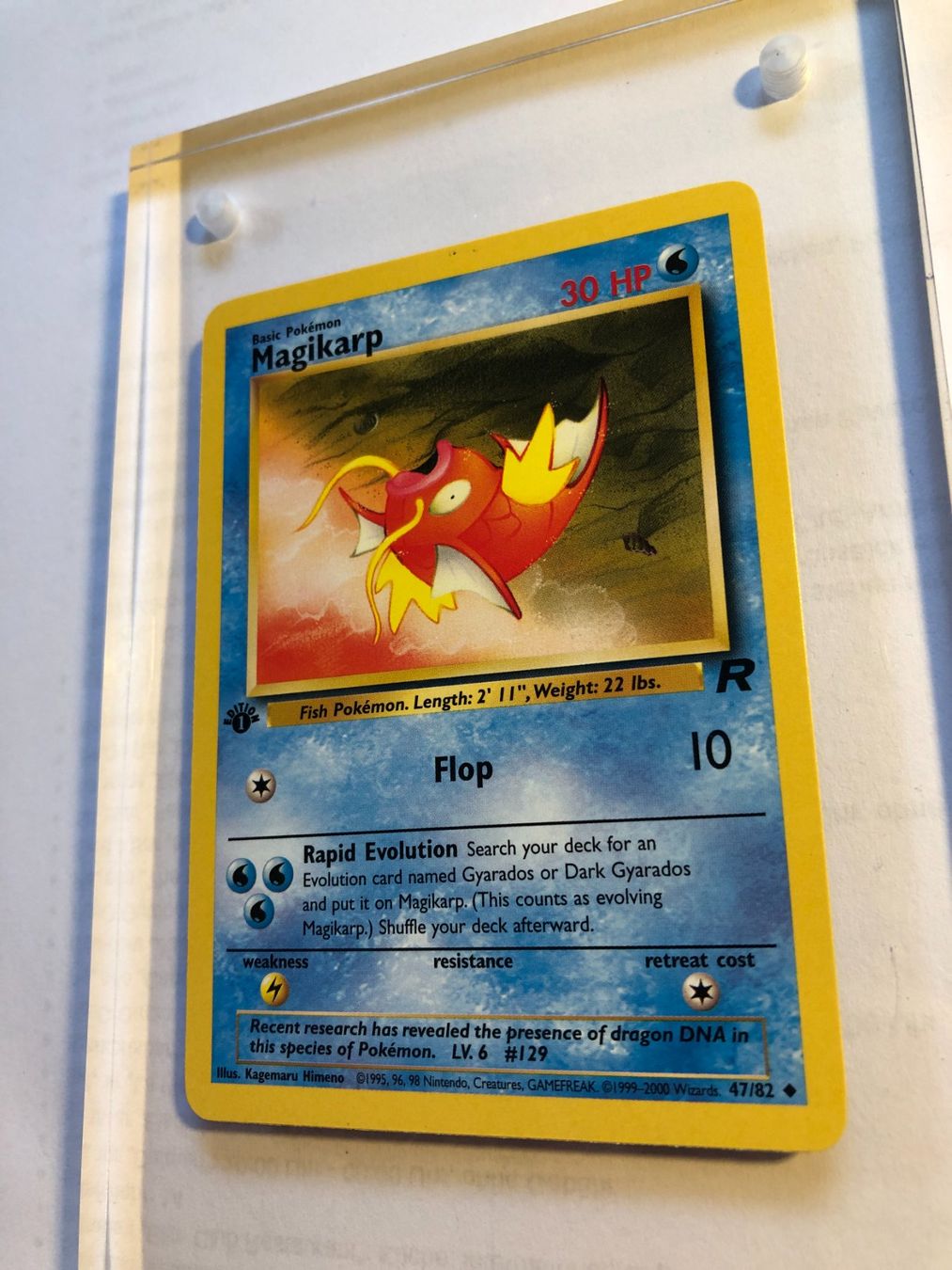 Carte collezionabili: Magikarp (unc.) Team Rocket 1st - MINT - ab 1.- – Usato da Giubiasco venduto da dan_pr8b 2