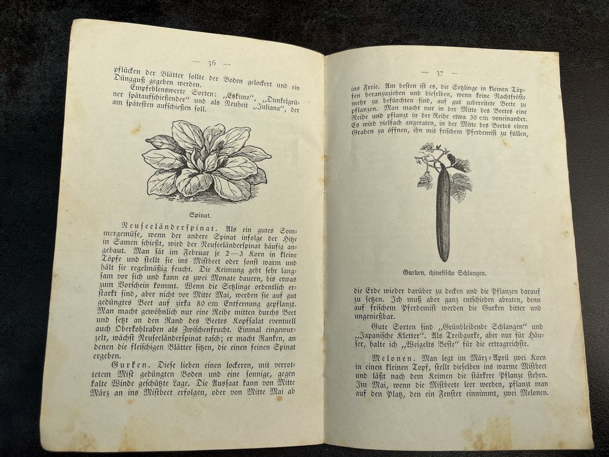 Libri: Unser Gemüsegarten  – Usato da Schlierbach venduto da Stee09 3