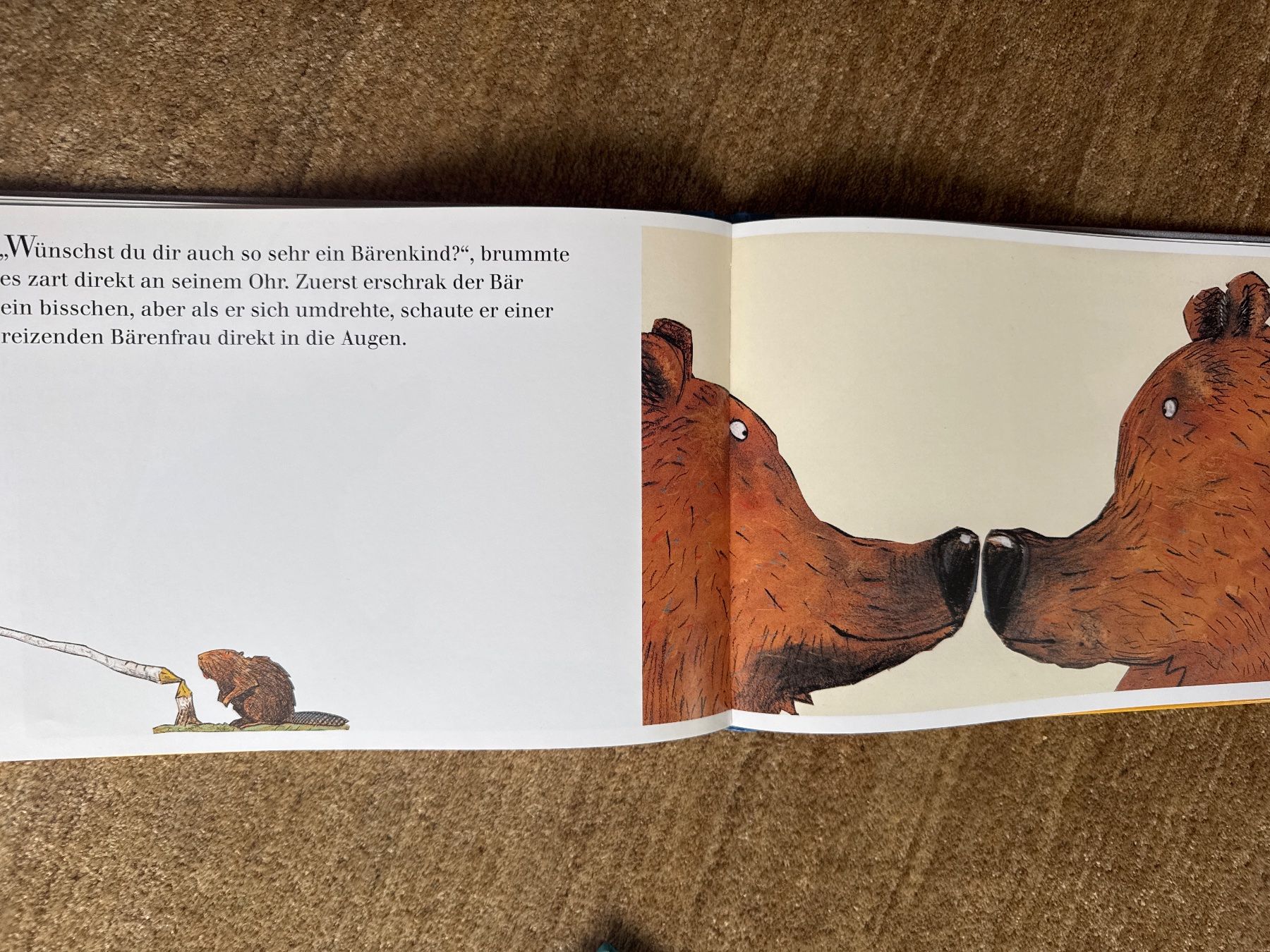 Bücher: Wolf Erlbruch - Das Bãrenwunder – Gebraucht aus Aarau von Kilauea 5