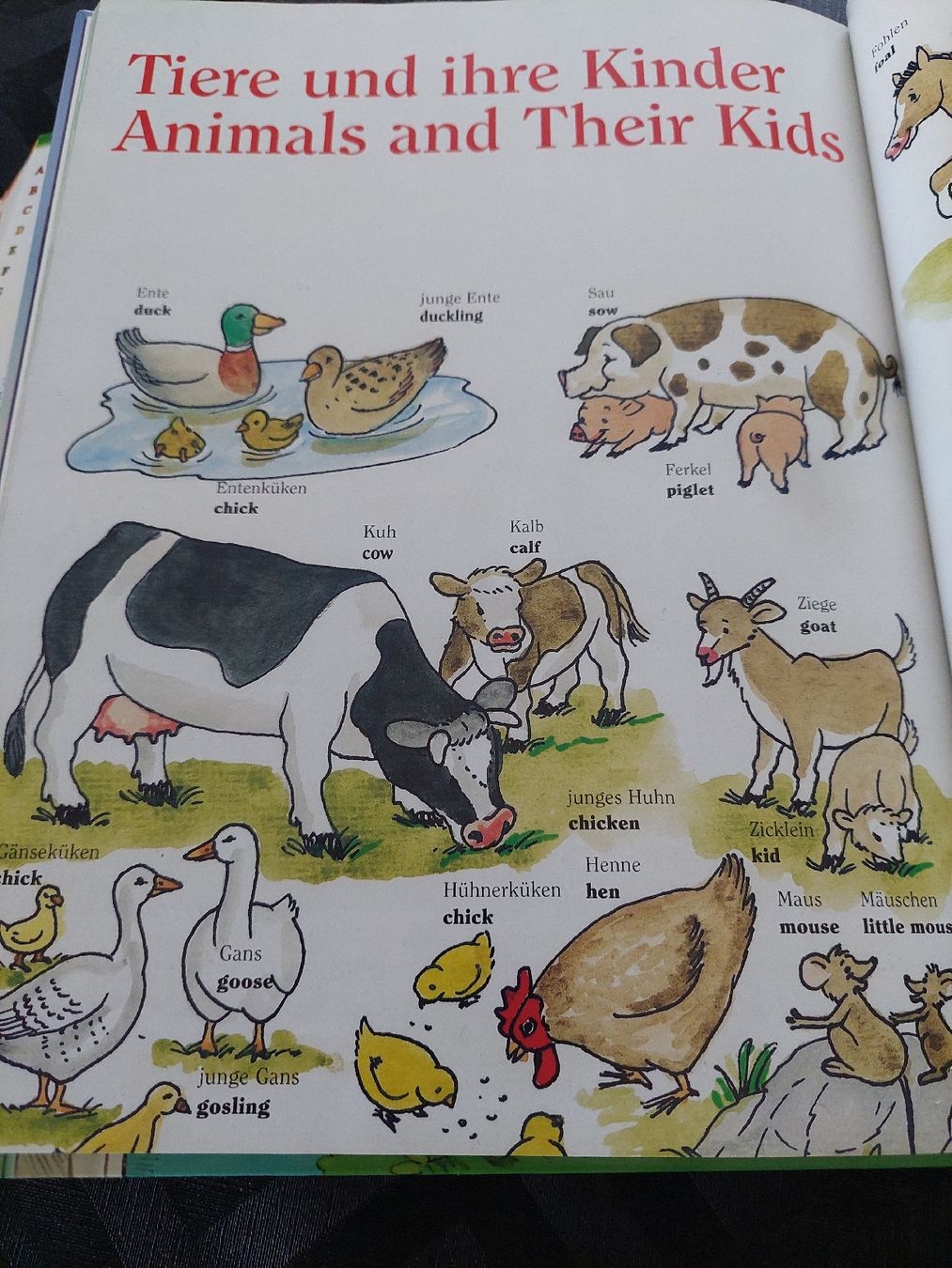 Libri: 2  Wörterbücher E/D  für Kinder – Usato da Zetzwil venduto da lanst08 6