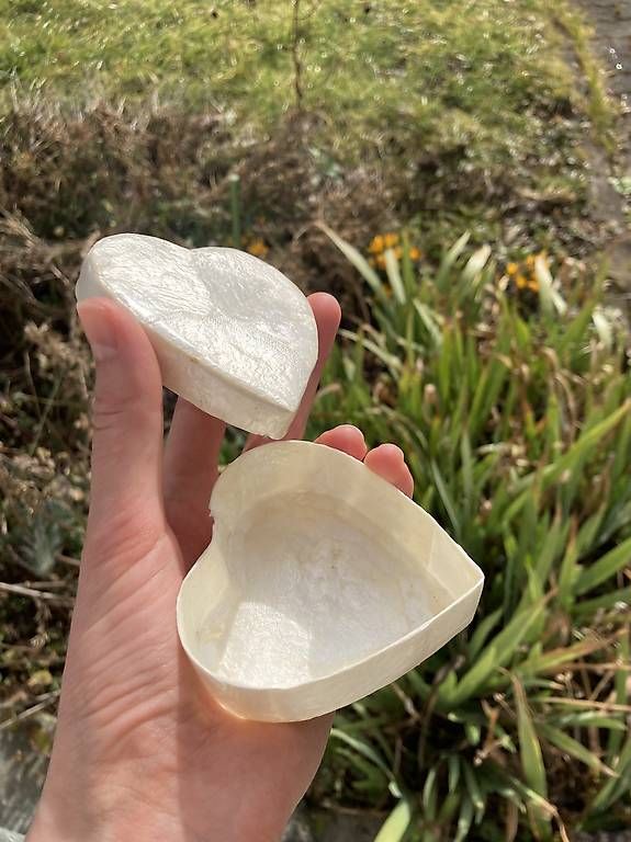 Alle Dekorationen: Perlmutt Döschen in Herzform für Schmuck – Gebraucht aus Winterthur von rox_n5tg 3