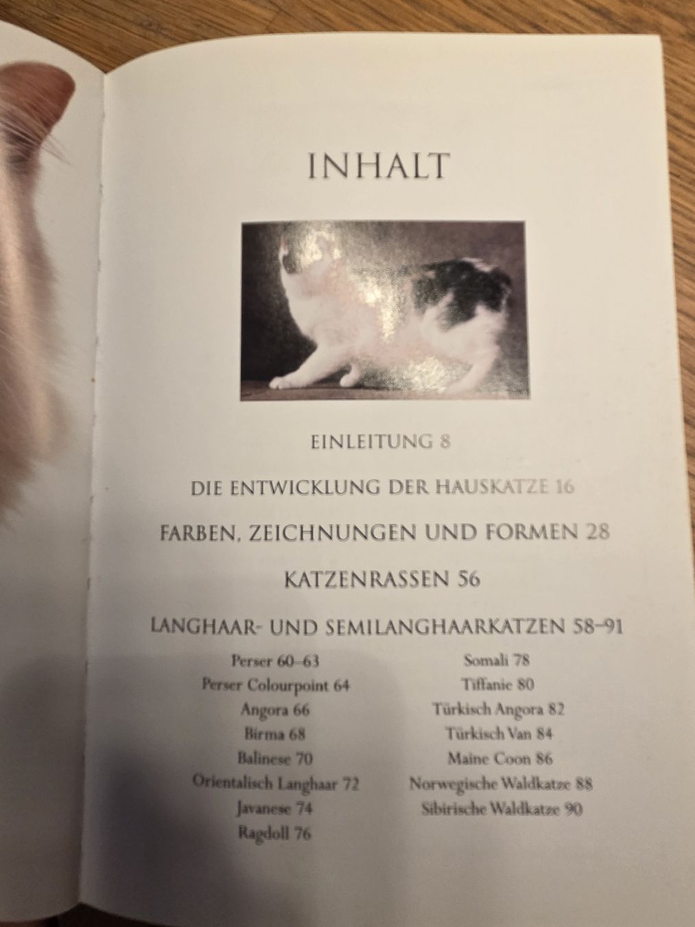 Livres: Katzenbücher – D'occasion à Rafz par leoncupra 2