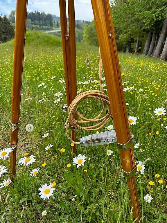 Lampen: Ständerlampe, Stehleuchte, Oldtimer, Scheinwerfer, Marchal – Gebraucht aus Walzenhausen von energieberaten 2