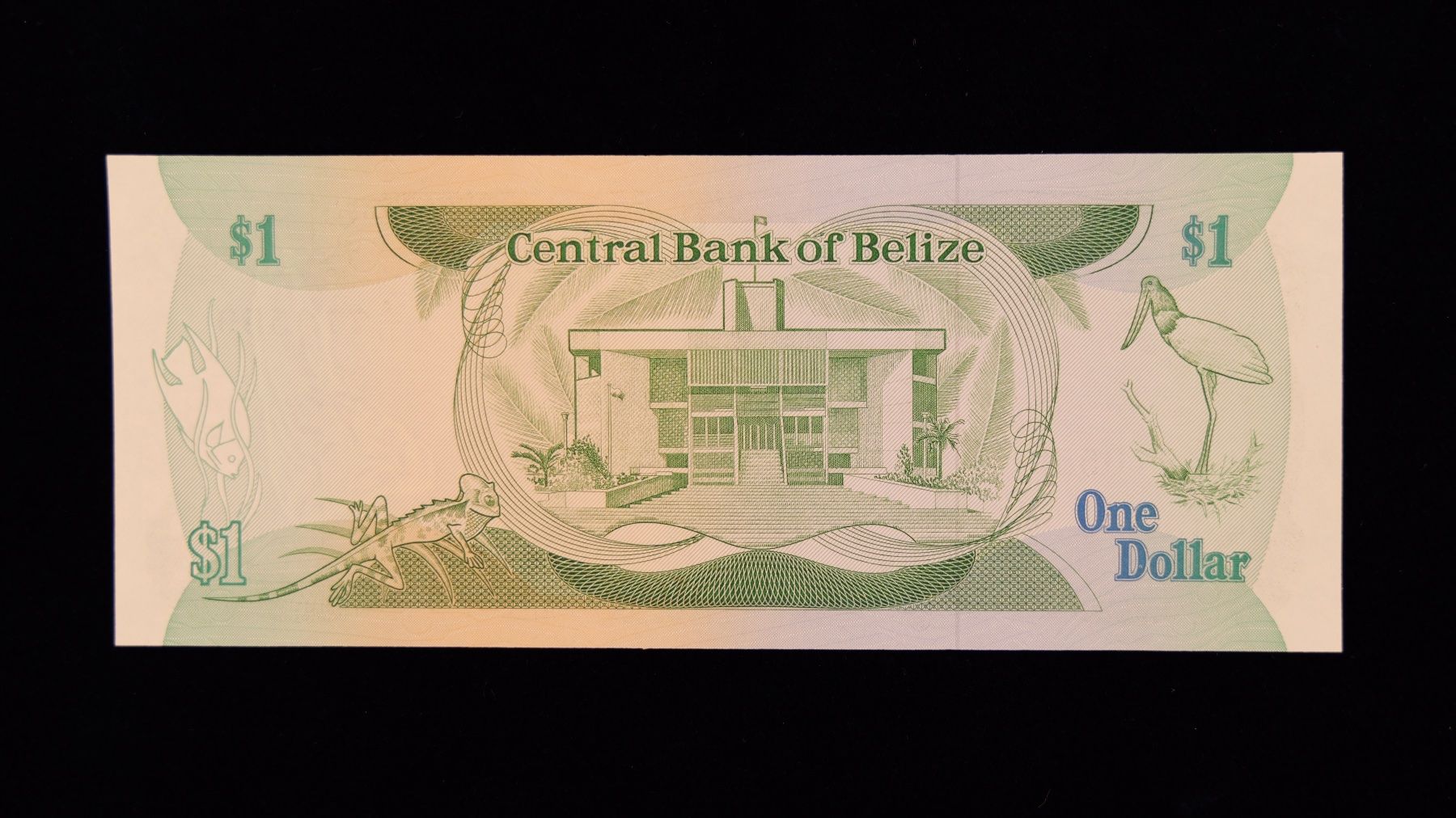 Banconote: 1 Dollar - Belize - Queen Elizabeth II – Usato da Morcote venduto da AmbiveriLeo 1