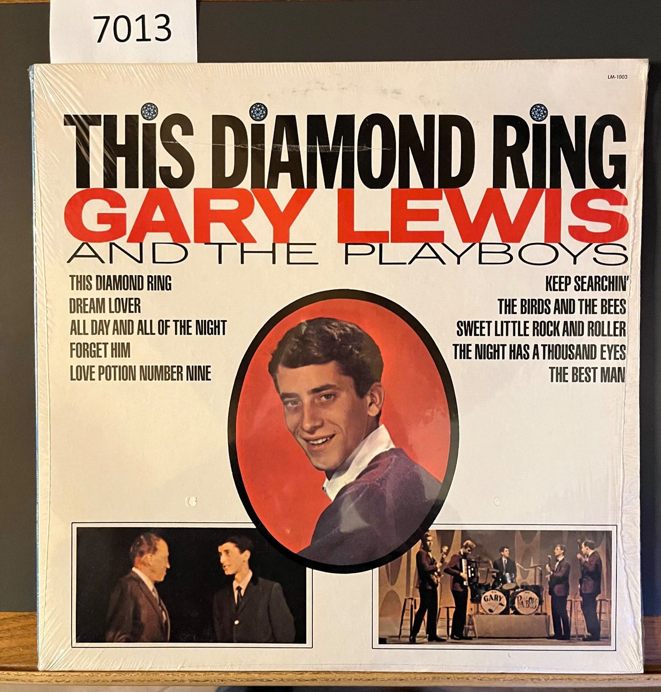 Dischi in vinile: Gary Lewis and the playboys - This Diamond Ring – Usato da Muttenz venduto da Golden_Times