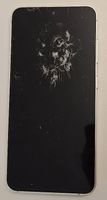 S24 Frontglas defekt (Touch&AMOLED funktionieren 100%)
