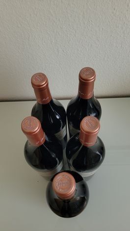 Vino: Top Wein  Bellevue Mondotte 2018 – Nuovo (secondo la descrizione) da Bellikon venduto da Bruno518 3