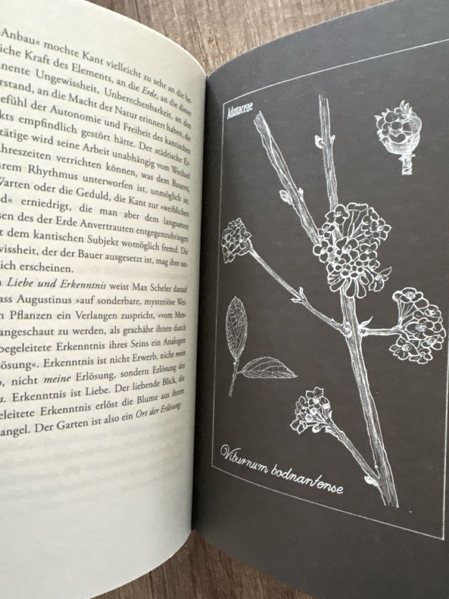 Libri: Lob der Erde Eine Reise in den Garten – Nuovo (secondo la descrizione) da Schaffhausen venduto da Reporter 2