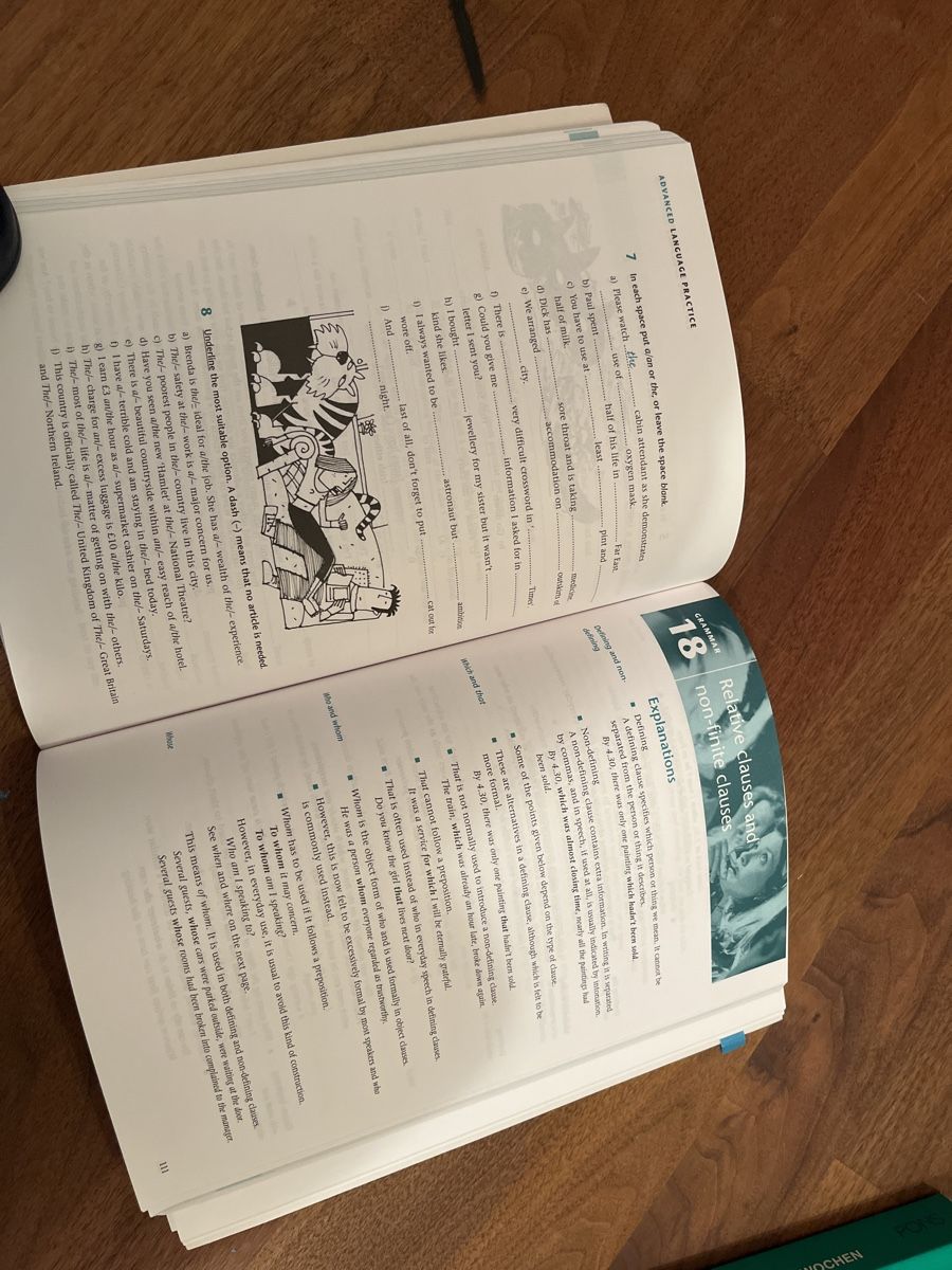Libri: Englisch Grammatikbuch "Advanced Language Practice" – Usato da Andelfingen venduto da estark 2