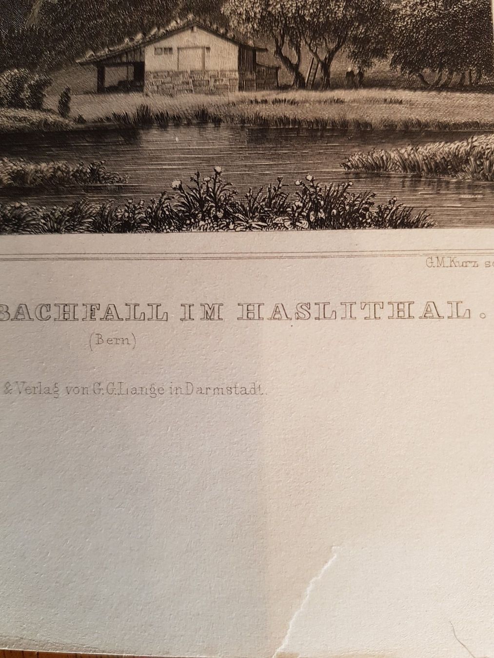 Incisioni: gravure de la cascade de OLTSCHIBACH – Usato da Lausanne venduto da leneko 2