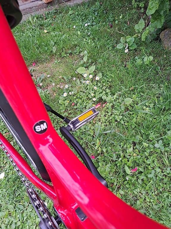 Biciclette: Cresta E-Largo – Usato da Elsau venduto da anzeige 1