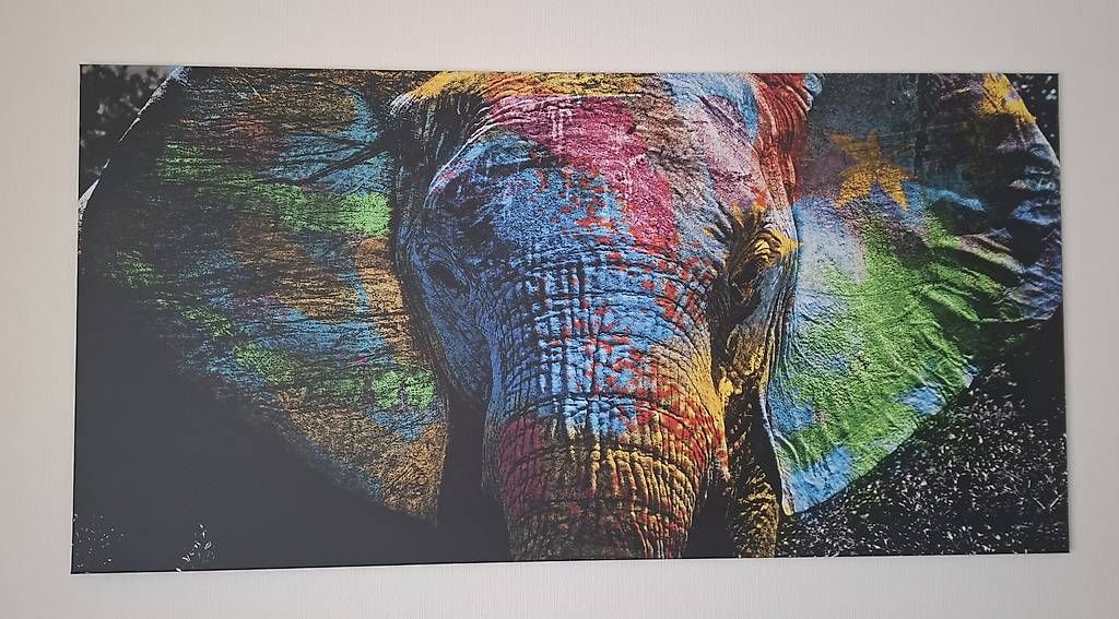 Dipinti: Tableau éléphant – Usato da Paudex venduto da nat_r7yp