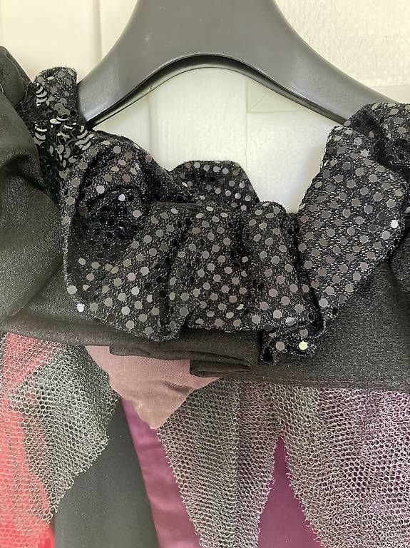 Costumi: 2 identische Fastnachtskleider selbst genäht – Usato da Luzern venduto da and_2hbf 2