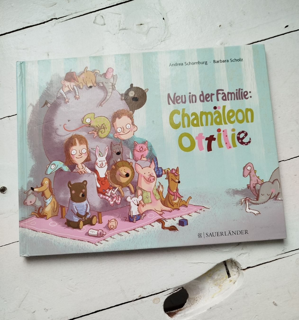 Livres: Kinderbuch "Chamäleon Ottilie" – D'occasion à Fällanden par san_zsm8
