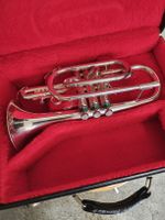 B.Cornet  Getzen Capri