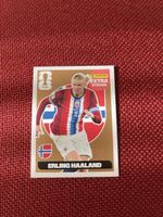 Erling Haaland bronze 2026