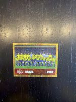 Panini 2002
