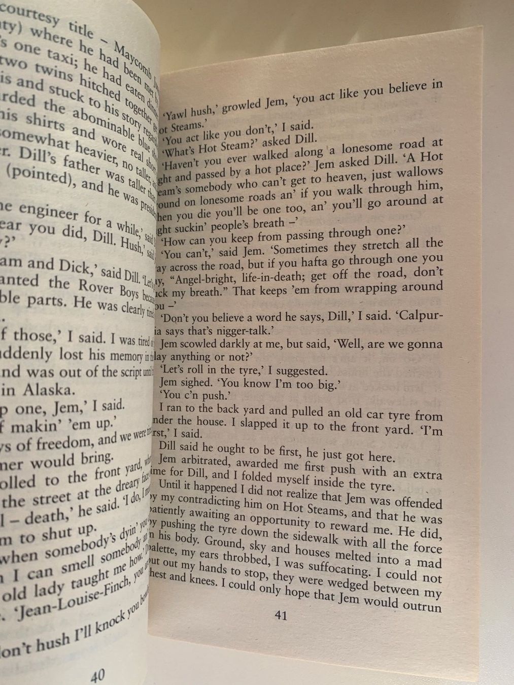 Libri: To Kill a Mockingbird – Usato da Wiggen venduto da Antoniotto 1