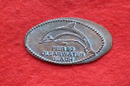 pier 60 clearwater beach / diverses
