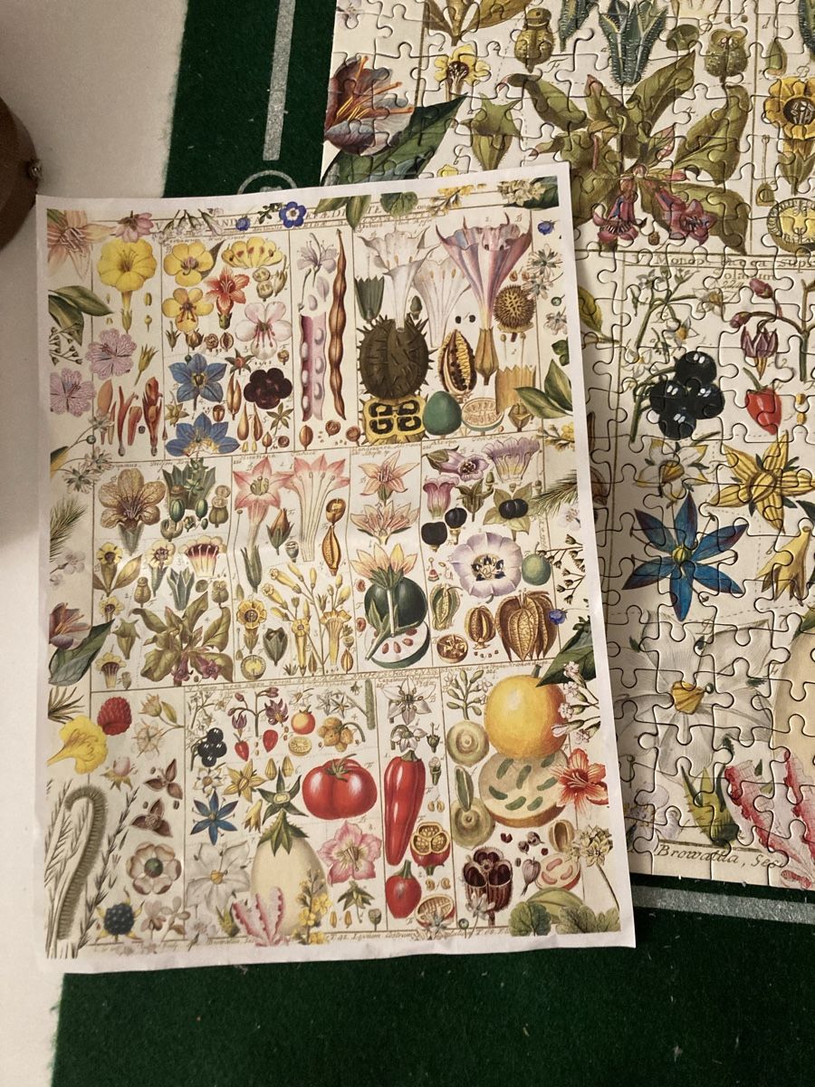 Puzzle: Puzzle Botanical Bliss Gibsons 1000 Teils – Usato da Zürich venduto da Ekka 2