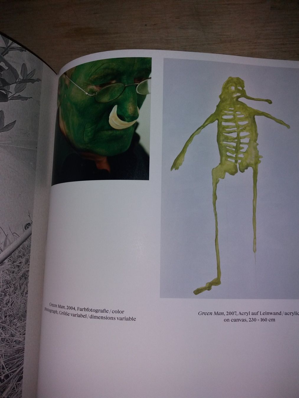 Bücher: KUNSTKLASSIKER Lois Weinberger   Basics       selten – Gebraucht aus Welschenrohr von Regool 2