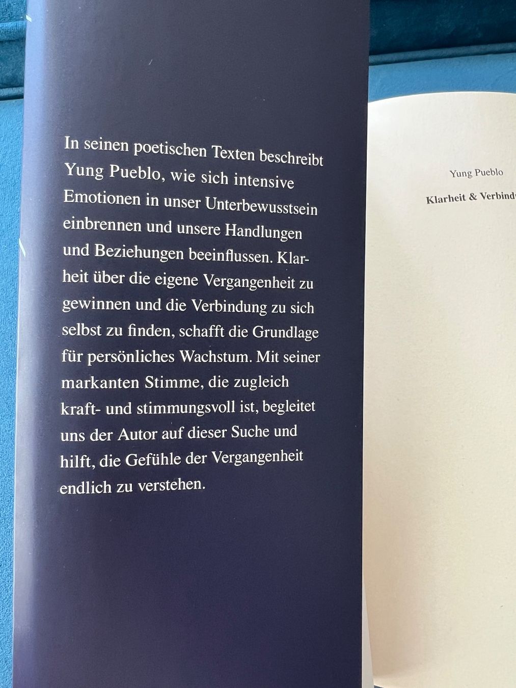Libri: Buch - klarheit & verbindung – Usato da Effretikon venduto da YaMn 2