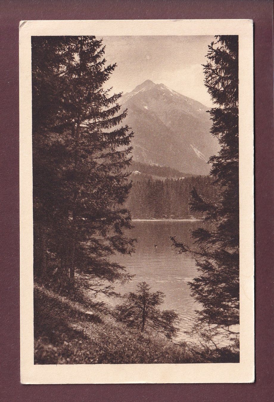 Cartoline postali: CASOJA VALBELLA ob Chur – Usato da Pully venduto da nicecards